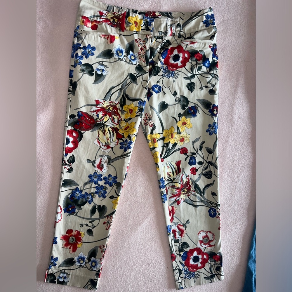 7th Avenue Design Studio New York & Company pants